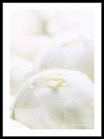 Load image into Gallery viewer, Close up of Peonies - Framed Print
