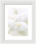 Load image into Gallery viewer, Close up of Peonies - Framed Print
