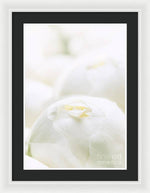 Load image into Gallery viewer, Close up of Peonies - Framed Print
