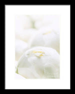 Load image into Gallery viewer, Close up of Peonies - Framed Print
