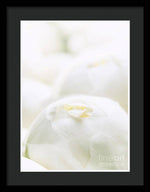 Load image into Gallery viewer, Close up of Peonies - Framed Print
