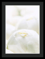 Load image into Gallery viewer, Close up of Peonies - Framed Print

