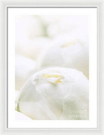 Load image into Gallery viewer, Close up of Peonies - Framed Print

