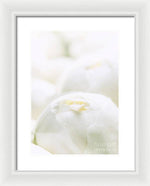 Load image into Gallery viewer, Close up of Peonies - Framed Print

