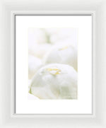 Load image into Gallery viewer, Close up of Peonies - Framed Print
