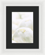Load image into Gallery viewer, Close up of Peonies - Framed Print
