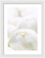 Load image into Gallery viewer, Close up of Peonies - Framed Print
