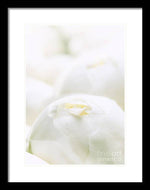 Load image into Gallery viewer, Close up of Peonies - Framed Print
