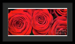 Load image into Gallery viewer, Red Roses - Grand Prix - Framed Print
