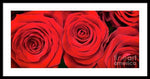Load image into Gallery viewer, Red Roses - Grand Prix - Framed Print
