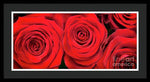 Load image into Gallery viewer, Red Roses - Grand Prix - Framed Print
