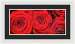 Load image into Gallery viewer, Red Roses - Grand Prix - Framed Print
