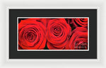 Load image into Gallery viewer, Red Roses - Grand Prix - Framed Print
