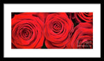 Load image into Gallery viewer, Red Roses - Grand Prix - Framed Print
