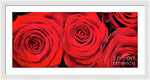 Load image into Gallery viewer, Red Roses - Grand Prix - Framed Print
