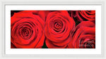 Load image into Gallery viewer, Red Roses - Grand Prix - Framed Print

