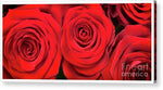 Load image into Gallery viewer, Red Roses - Grand Prix - Acrylic Print
