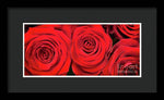 Load image into Gallery viewer, Red Roses - Grand Prix - Framed Print
