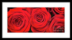 Load image into Gallery viewer, Red Roses - Grand Prix - Framed Print
