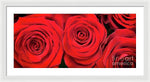 Load image into Gallery viewer, Red Roses - Grand Prix - Framed Print
