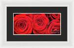 Load image into Gallery viewer, Red Roses - Grand Prix - Framed Print
