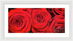 Load image into Gallery viewer, Red Roses - Grand Prix - Framed Print
