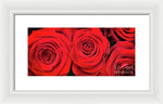 Load image into Gallery viewer, Red Roses - Grand Prix - Framed Print
