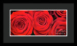 Load image into Gallery viewer, Red Roses - Grand Prix - Framed Print
