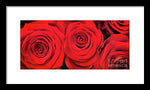 Load image into Gallery viewer, Red Roses - Grand Prix - Framed Print
