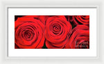 Load image into Gallery viewer, Red Roses - Grand Prix - Framed Print
