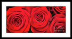 Load image into Gallery viewer, Red Roses - Grand Prix - Framed Print
