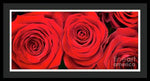 Load image into Gallery viewer, Red Roses - Grand Prix - Framed Print
