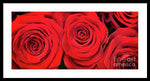 Load image into Gallery viewer, Red Roses - Grand Prix - Framed Print
