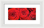 Load image into Gallery viewer, Red Roses - Grand Prix - Framed Print
