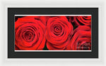 Load image into Gallery viewer, Red Roses - Grand Prix - Framed Print

