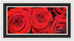 Load image into Gallery viewer, Red Roses - Grand Prix - Framed Print
