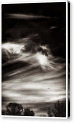 Load image into Gallery viewer, Sky Wisps planes and trees - Canvas Print
