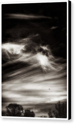 Load image into Gallery viewer, Sky Wisps planes and trees - Canvas Print
