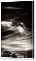Load image into Gallery viewer, Sky Wisps planes and trees - Acrylic Print
