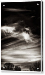 Load image into Gallery viewer, Sky Wisps planes and trees - Acrylic Print
