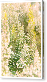 Load image into Gallery viewer, Summer Bells - Canvas Print
