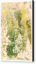 Load image into Gallery viewer, Summer Bells - Canvas Print
