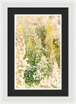 Load image into Gallery viewer, Summer Bells - Framed Print
