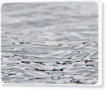 Load image into Gallery viewer, Thames ripples 02 - Canvas Print
