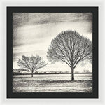 Load image into Gallery viewer, Two Trees in a field - Framed Print
