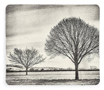 Load image into Gallery viewer, Two Trees in a field - Blanket
