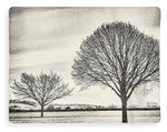 Load image into Gallery viewer, Two Trees in a field - Blanket
