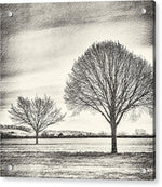 Load image into Gallery viewer, Two Trees in a field - Acrylic Print
