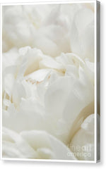 Load image into Gallery viewer, Close up of Peonies - Canvas Print
