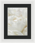 Load image into Gallery viewer, Close up of Peonies - Framed Print
